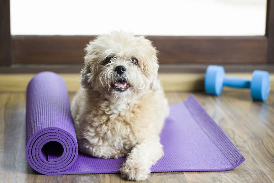 Marketing is Like Going to the Gym