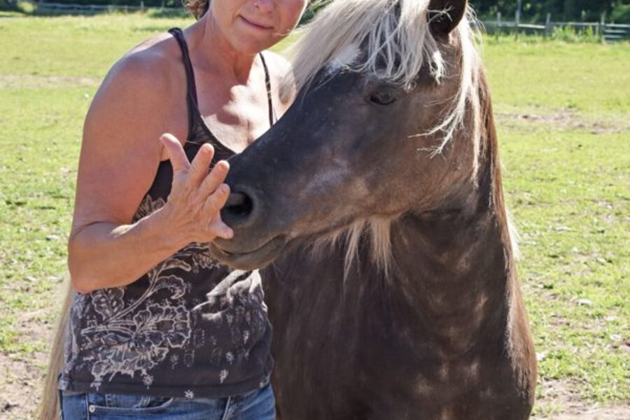 Mustang Valley Sanctuary: an Online Rescue Mission
