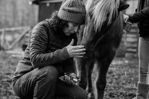 Mustang Valley Sanctuary: an Online Rescue Mission