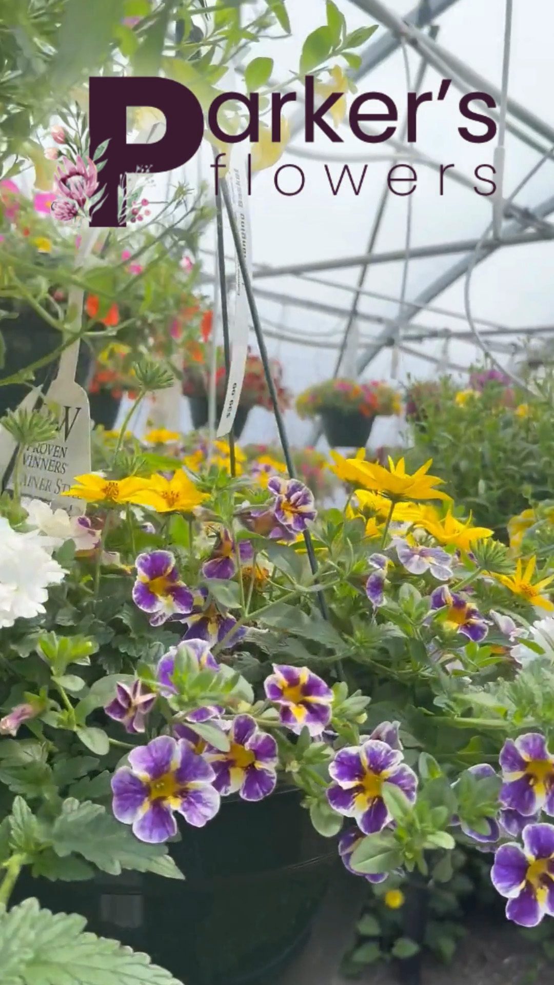Case Study: Parker’s Flowers Digital Transformation by Emery Designs