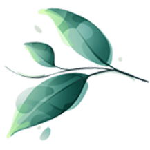 Emery Leaf
